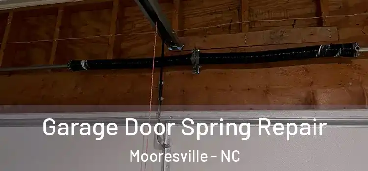  Garage Door Spring Repair Mooresville - NC